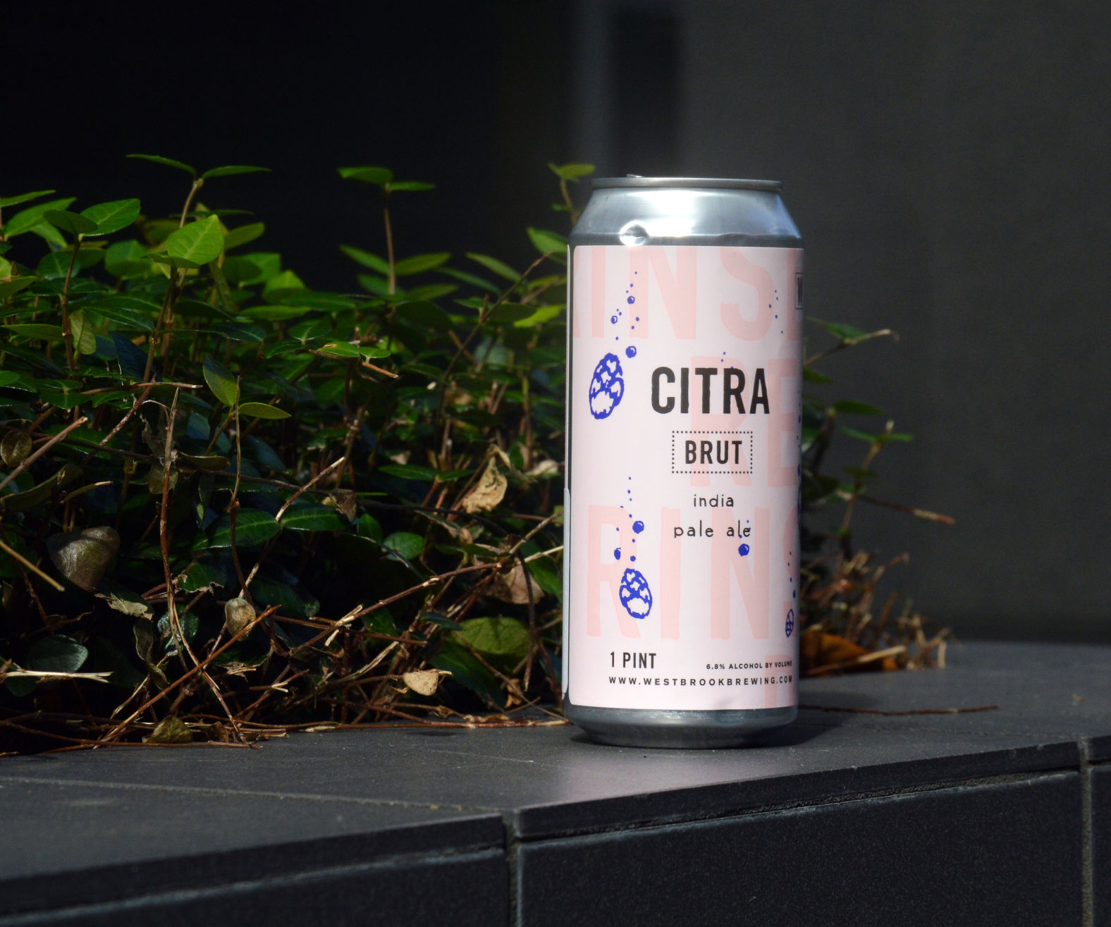 Westbrook Citra Brut